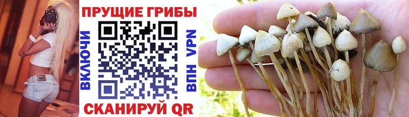 Псилоцибиновые грибы мицелий  ОМГ ОМГ вход  Калуга 